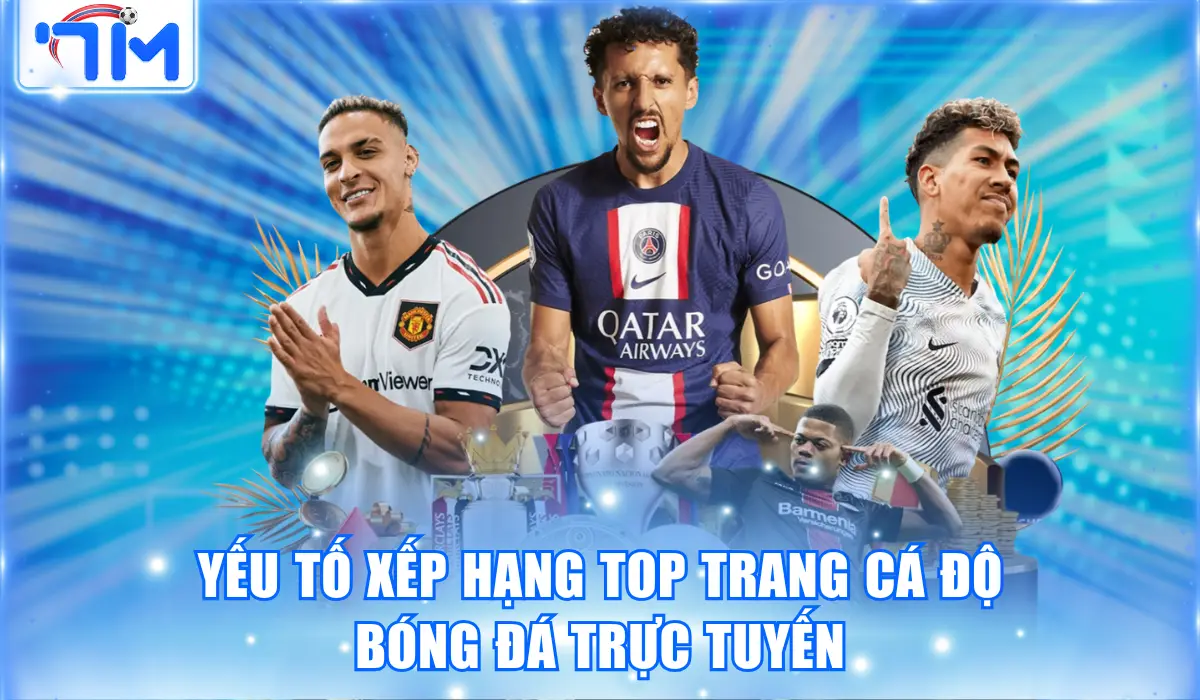 Top Trang Cá Độ Bóng Đá Trực Tuyến Có Tỷ Lệ Kèo Cao Nhất 1 Yếu tố xếp hạng top trang cá độ bóng đá trực tuyến
